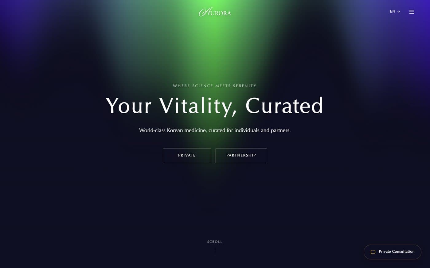 AURORA service screen 1